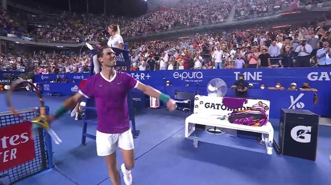 自然嵌入 自然嵌入